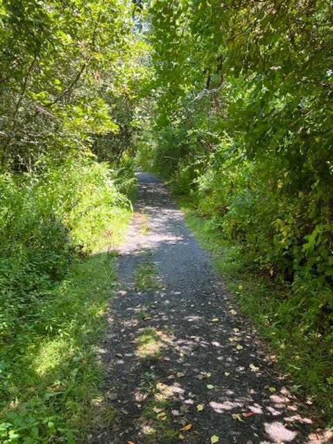 15 Midnight Drive York, ME 03909 - Photo 3 of 12 IMG_2040