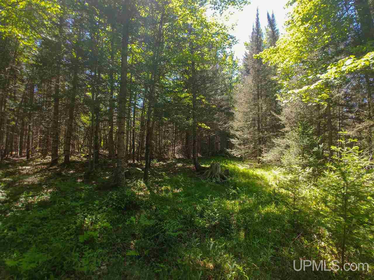 80-acres County Rd FFH Ishpeming, MI 49849 - Photo 22 of 28