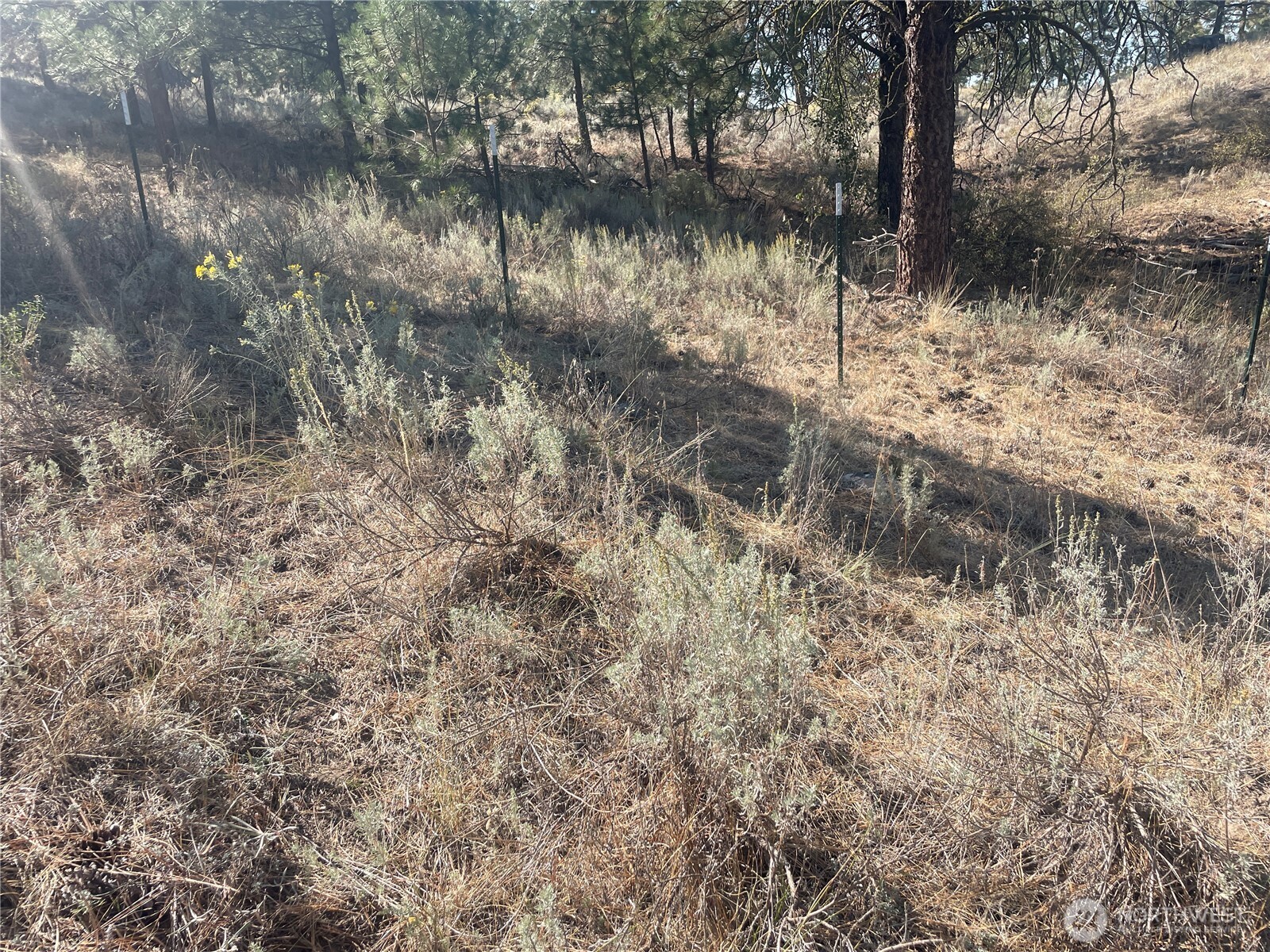 -tbd Reevas Basin Road Tonasket, WA 98855 - Photo 11 of 38