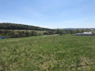267 Page Brook Road Whitney Point, NY 13862 - Photo 8 of 9