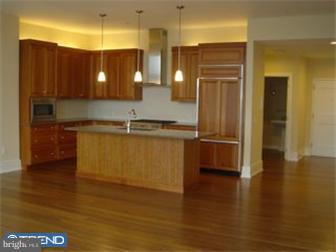 333 Iron Works Way Wayne, PA 19087 - Photo 9 of 12 Kitchen