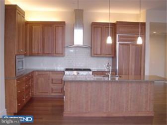 333 Iron Works Way Wayne, PA 19087 - Photo 10 of 12 Kitchen
