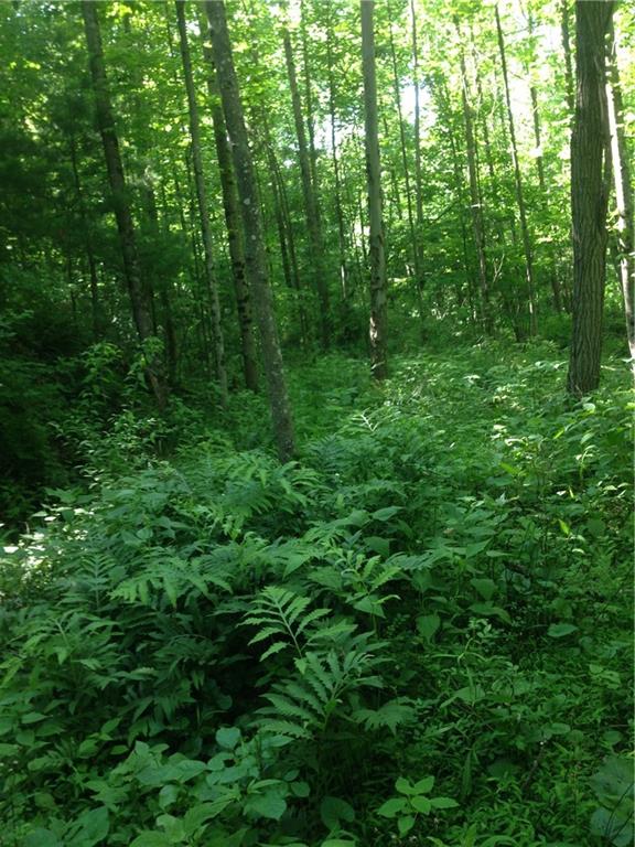 5922 Poplar Grove Road Columbus, IN 47201 - Photo 13 of 24