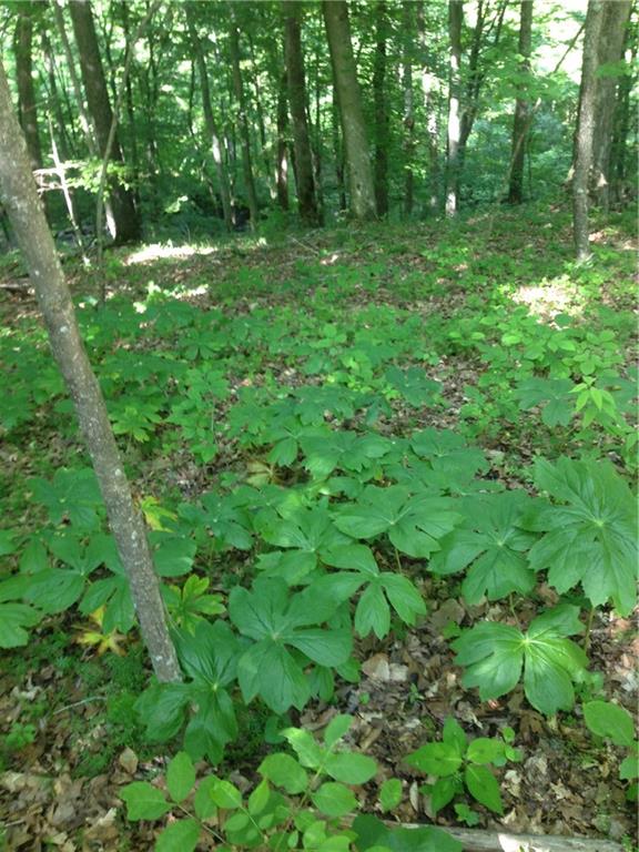 5922 Poplar Grove Road Columbus, IN 47201 - Photo 19 of 24
