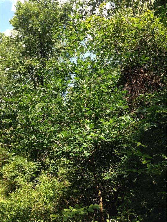 5922 Poplar Grove Road Columbus, IN 47201 - Photo 6 of 24