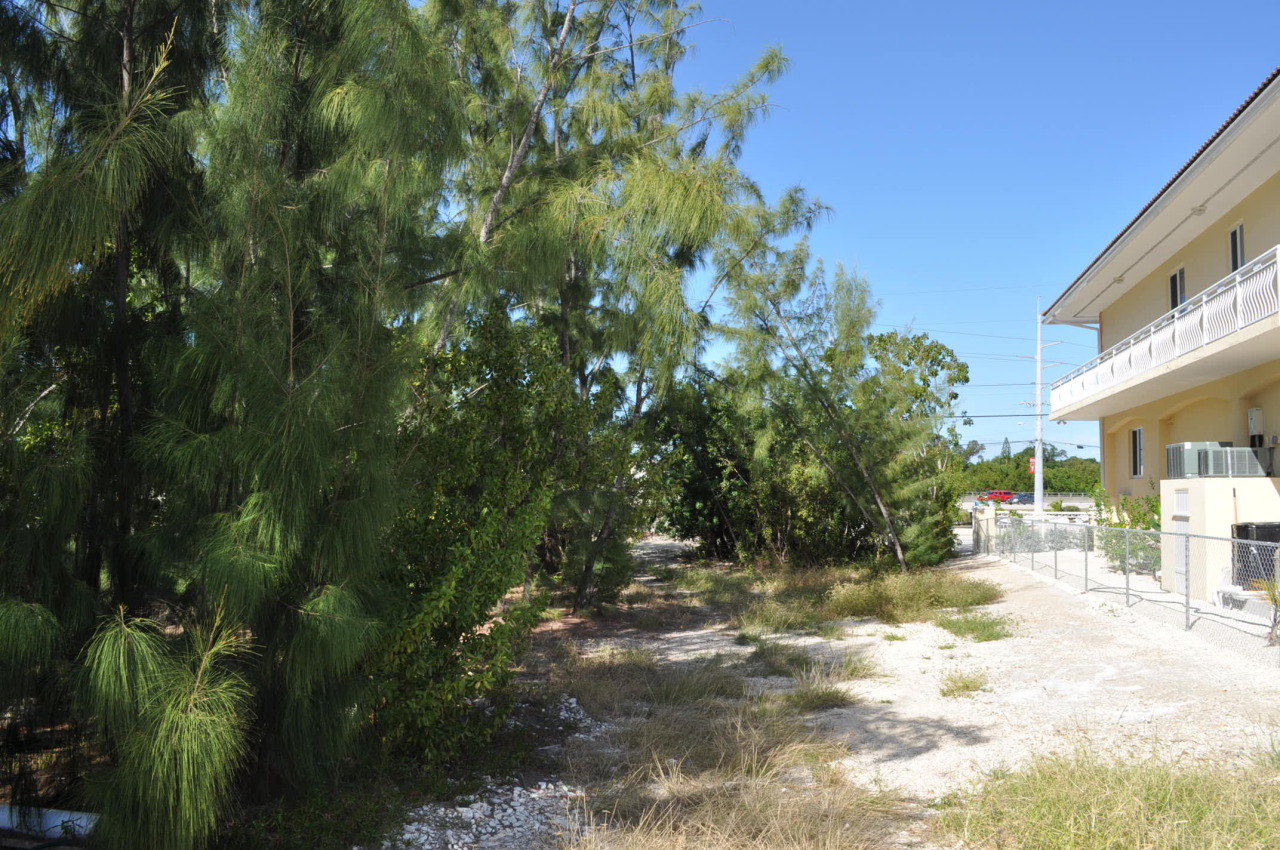 Lot 23 Bessie Road Tavernier, FL 33070 - Photo 4 of 5 Lot view from Canal to street