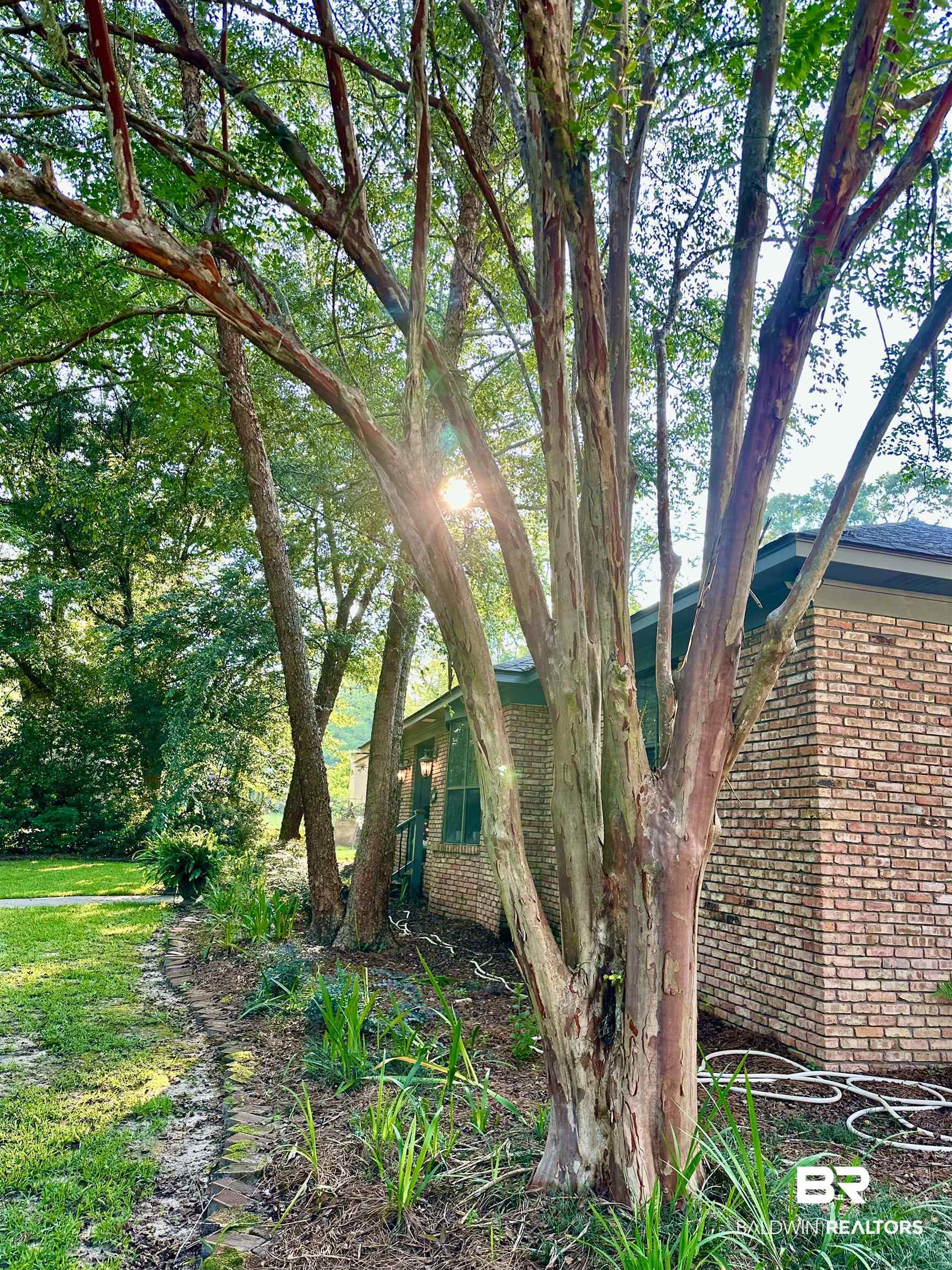 107 James Street Brewton, AL 36426 - Photo 20 of 33