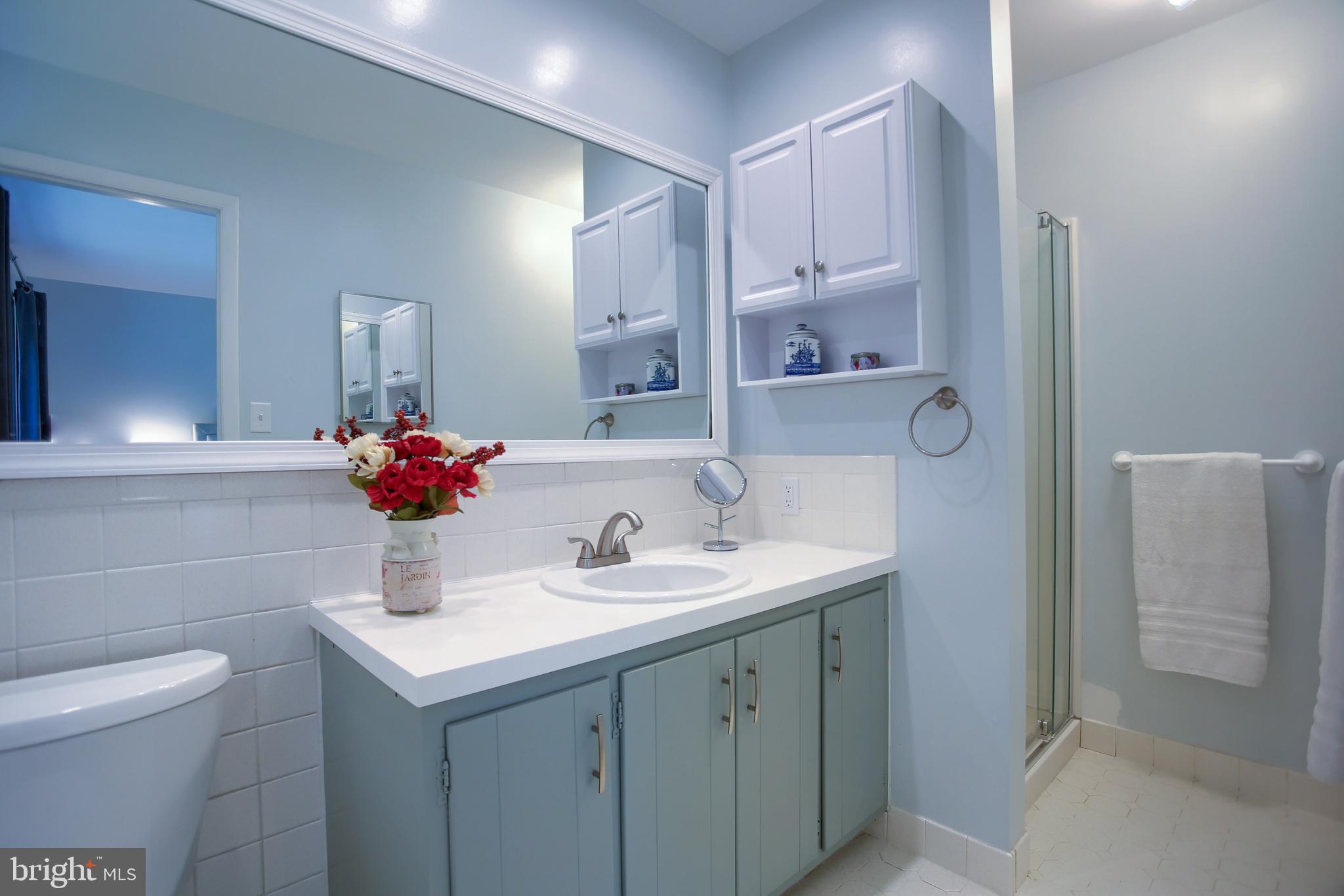 20 Eagle Lane Reading, PA 19607 - Photo 23 of 51 Master Bath
