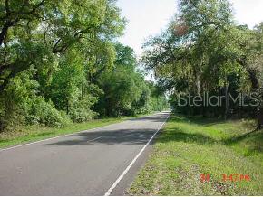 90 Northeast County Road Gainesville, FL 32641 - Photo 1 of 1 a view of a yard with plants