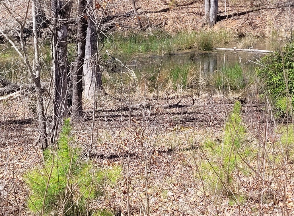 Lot 49 Stardust Lane Seneca, SC 29672 - Photo 13 of 23