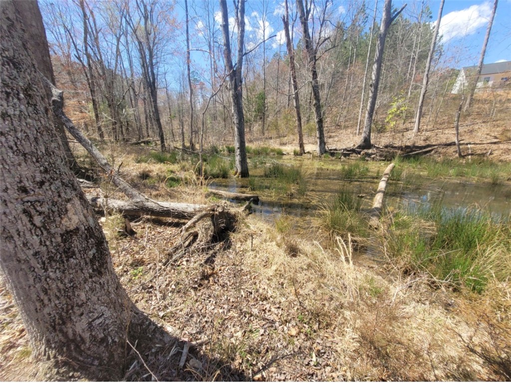 Lot 49 Stardust Lane Seneca, SC 29672 - Photo 15 of 23