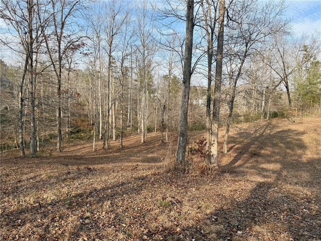 Lot 49 Stardust Lane Seneca, SC 29672 - Photo 20 of 23