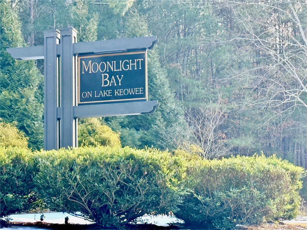 Lot 49 Stardust Lane Seneca, SC 29672 - Photo 2 of 23