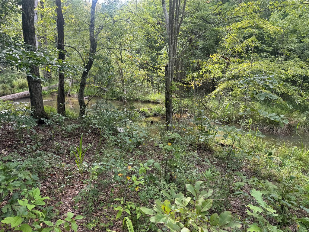 Lot 49 Stardust Lane Seneca, SC 29672 - Photo 2 of 29