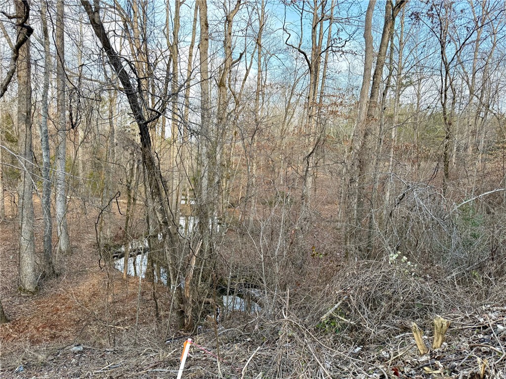 Lot 49 Stardust Lane Seneca, SC 29672 - Photo 21 of 23