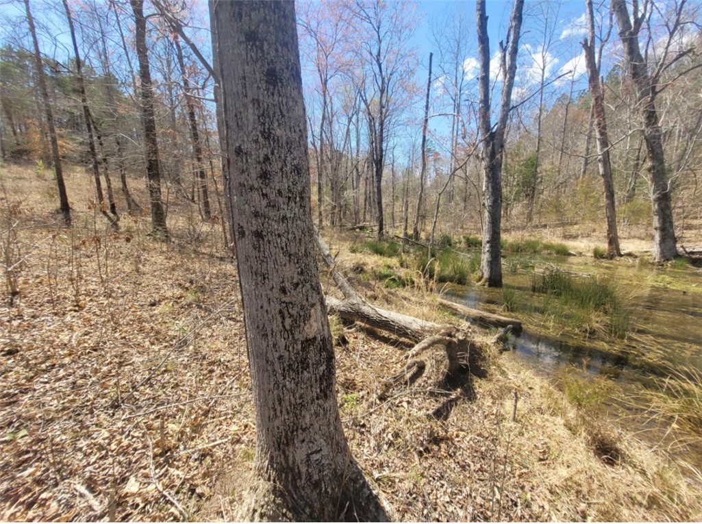 Lot 49 Stardust Lane Seneca, SC 29672 - Photo 22 of 29