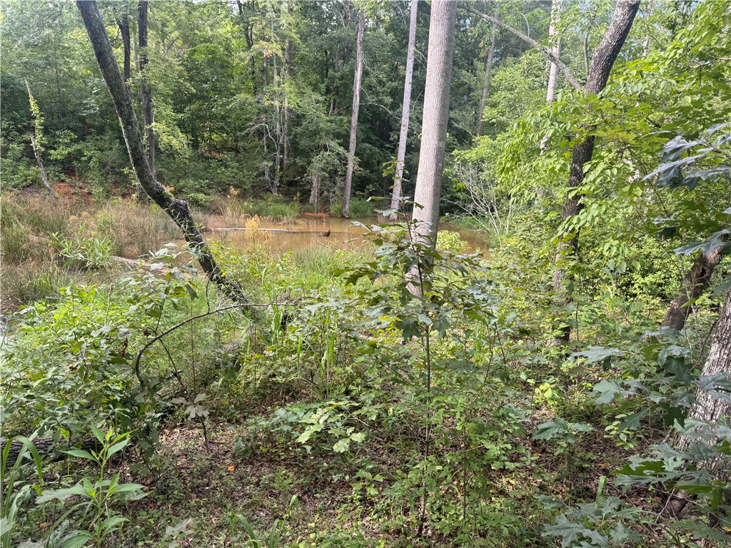Lot 49 Stardust Lane Seneca, SC 29672 - Photo 3 of 29