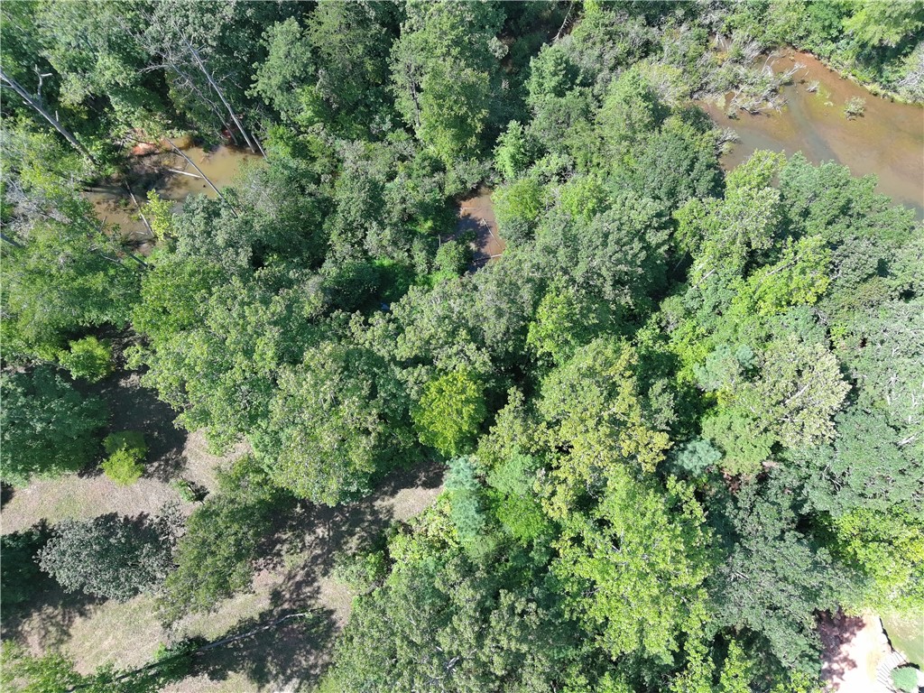Lot 49 Stardust Lane Seneca, SC 29672 - Photo 4 of 29