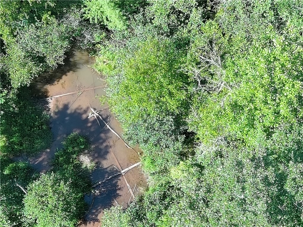 Lot 49 Stardust Lane Seneca, SC 29672 - Photo 5 of 29