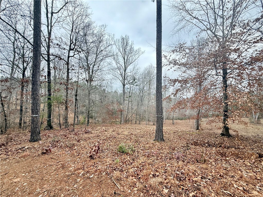 Lot 49 Stardust Lane Seneca, SC 29672 - Photo 5 of 23