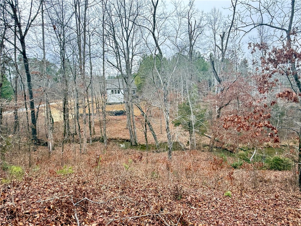 Lot 49 Stardust Lane Seneca, SC 29672 - Photo 7 of 23