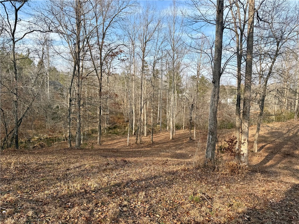 Lot 49 Stardust Lane Seneca, SC 29672 - Photo 7 of 29