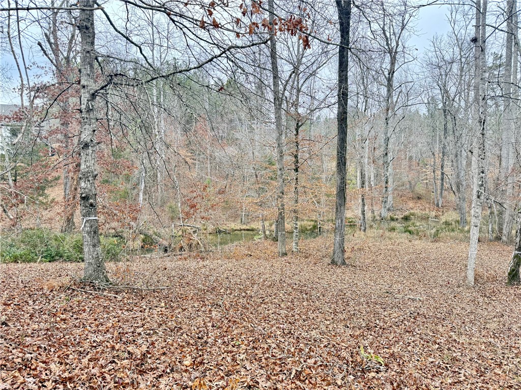 Lot 49 Stardust Lane Seneca, SC 29672 - Photo 8 of 23