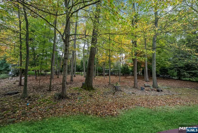 a view of a house with a yard and large trees