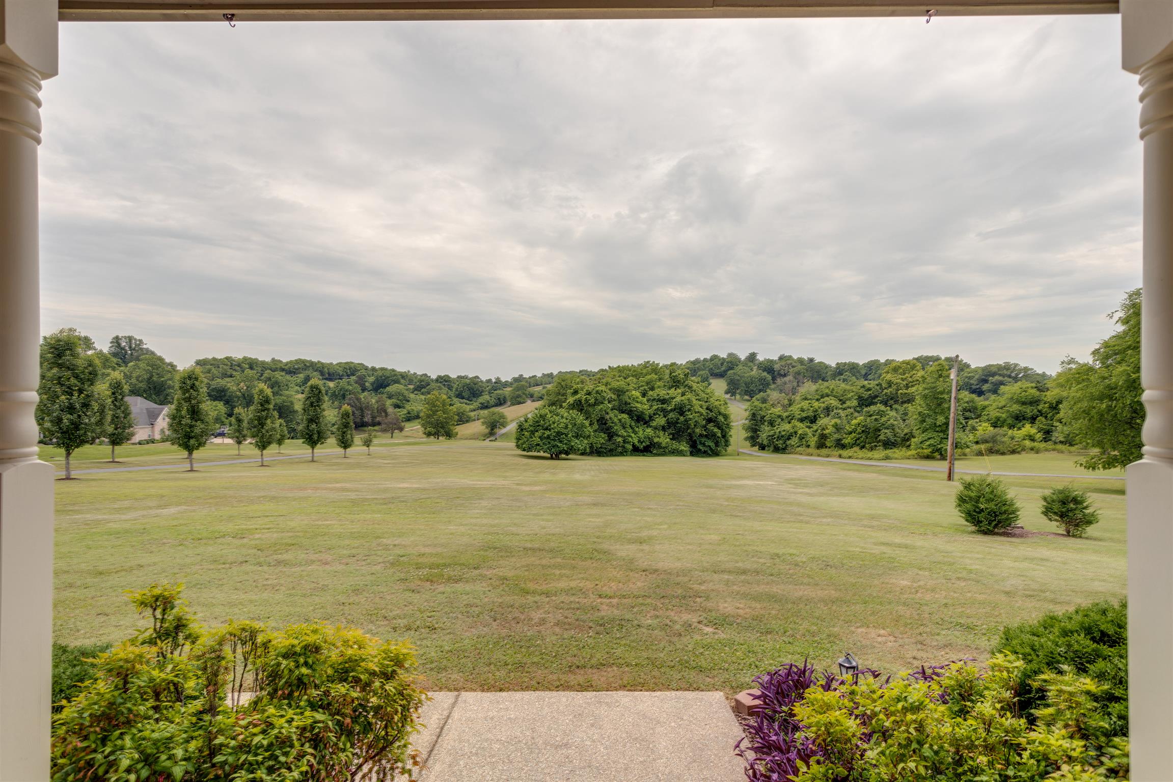 2336 Harlan Road Columbia, TN 38401 - Photo 5 of 30 Front Yard viewed from Front Door! PRIVACY from Street!!