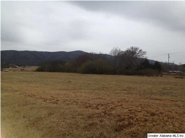 166 Wagon Road Piedmont, AL 36272 - Photo 1 of 3