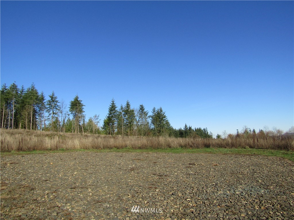 X South Scheuber Road Centralia, WA 98531 - Photo 3 of 11 Gallery Image 3