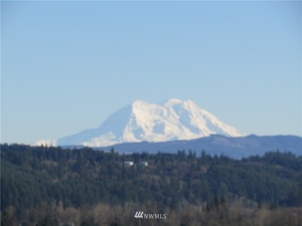 X South Scheuber Road Centralia, WA 98531 - Photo 5 of 11 Gallery Image 5