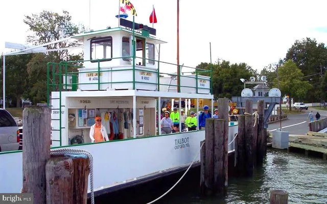 a front view of a residential houses with yard