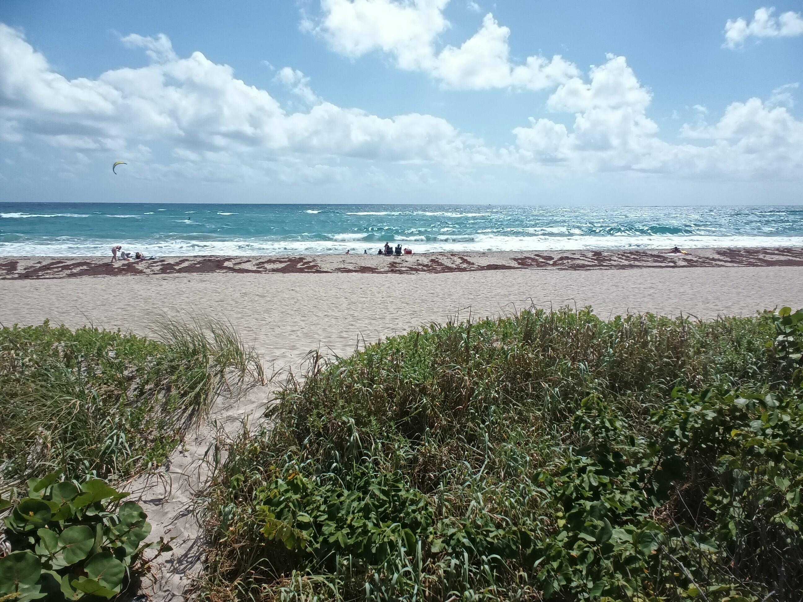 5200 North Flagler Drive, Unit 702 West Palm Beach, FL 33407 - Photo 17 of 36 a view of a lake with beach and big trees
