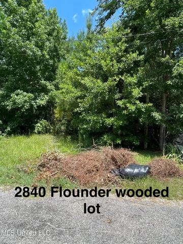$25,000 | 2840 Flounder Circle, Gautier, MS 39553