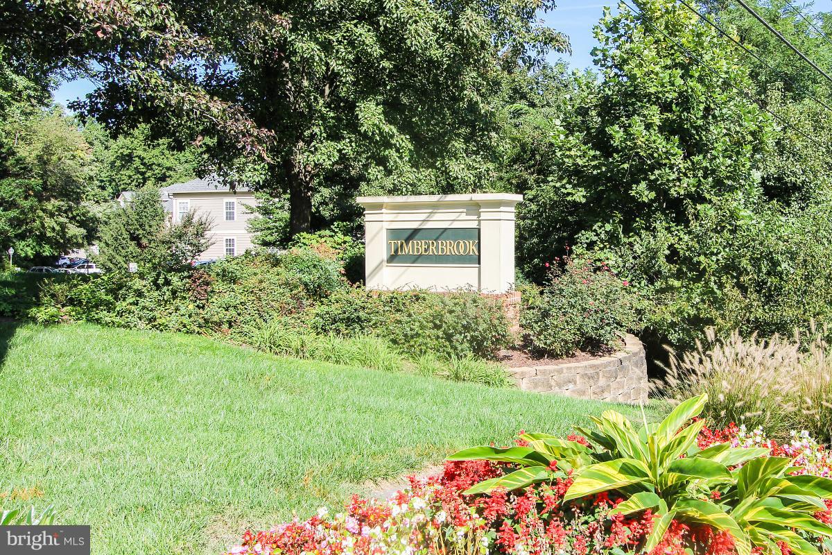 119 Timberbrook Lane, Unit 101 Gaithersburg, MD 20878 - Photo 25 of 29 a view of a garden with plants and large trees