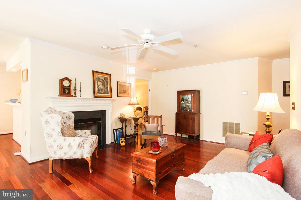 119 Timberbrook Lane, Unit 101 Gaithersburg, MD 20878 - Photo 5 of 29 a living room with furniture and a fireplace