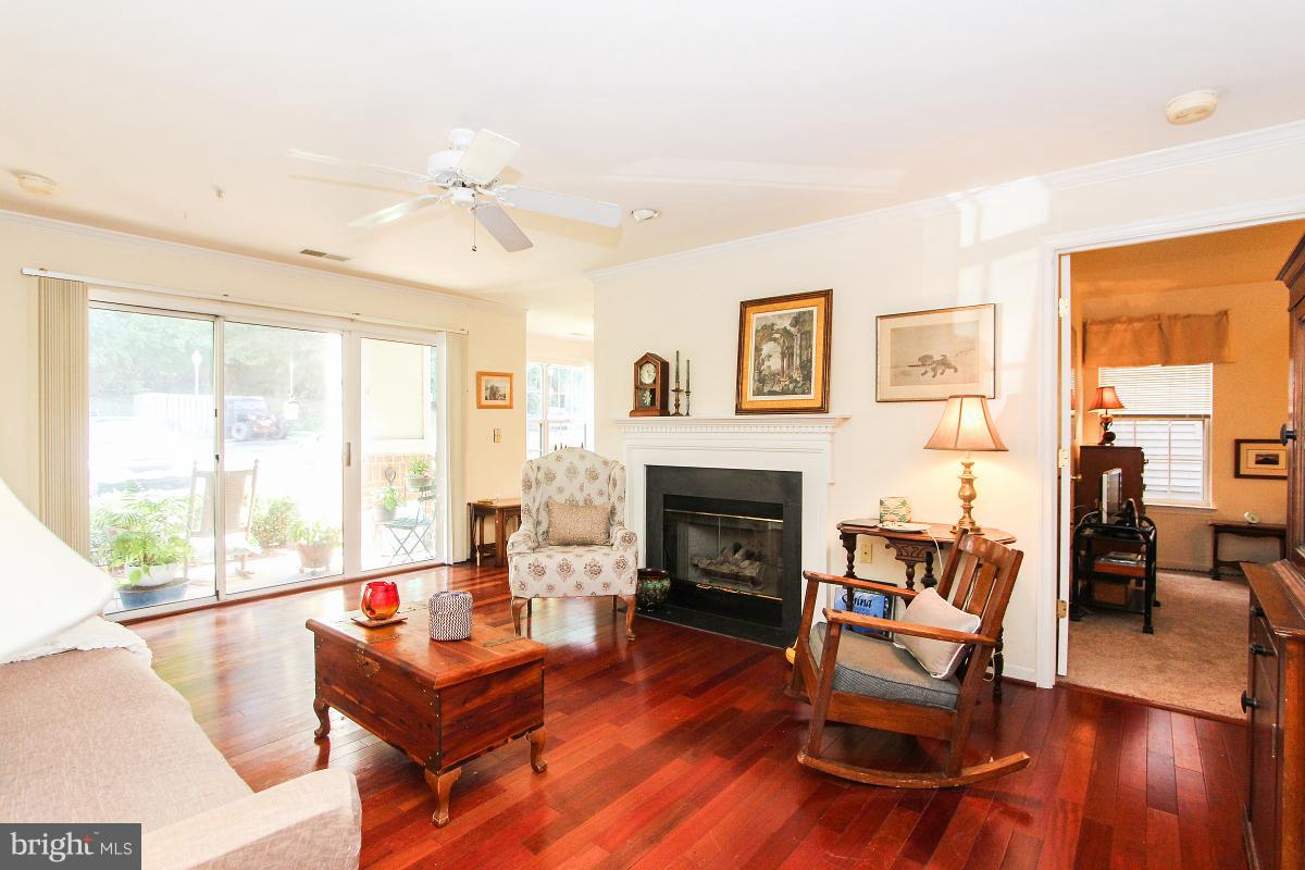 119 Timberbrook Lane, Unit 101 Gaithersburg, MD 20878 - Photo 6 of 29 a living room with furniture and a fireplace