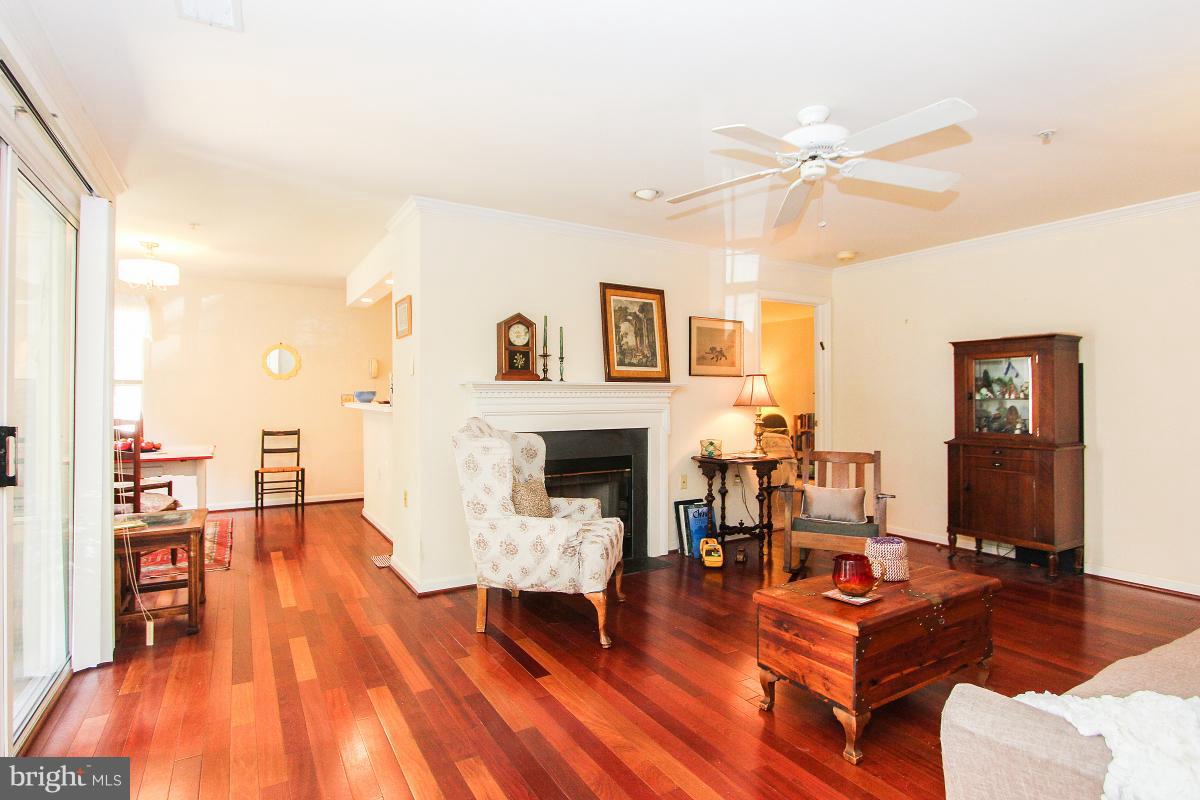 119 Timberbrook Lane, Unit 101 Gaithersburg, MD 20878 - Photo 8 of 29 a living room with furniture a fireplace and wooden floor