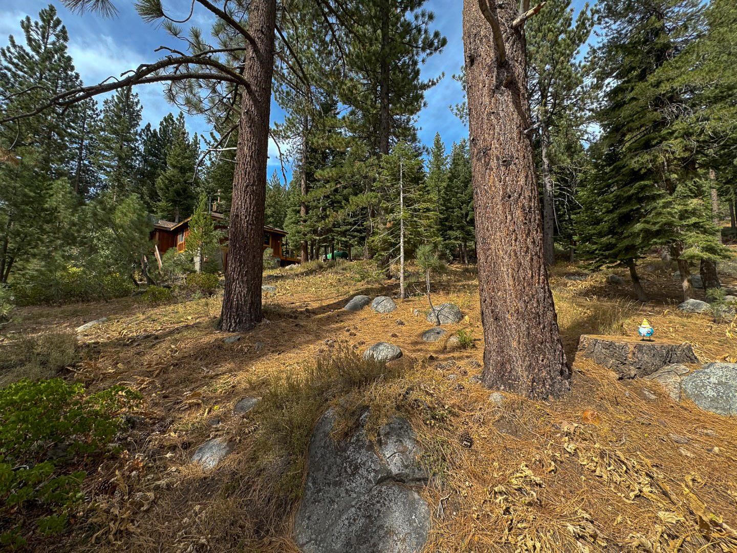 174 Tiger Tail Road Olympic Valley, CA 96146 - Photo 6 of 28 Gallery Image 6