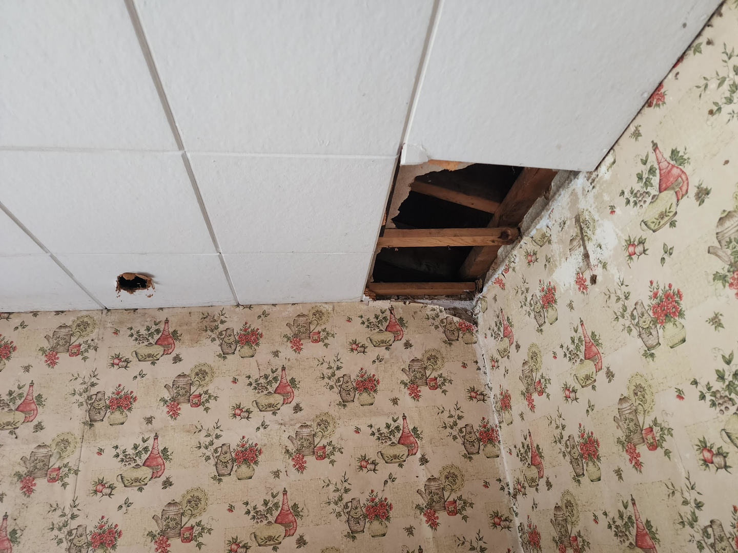 6S363 4th Street Eola, IL 60519 - Photo 10 of 18