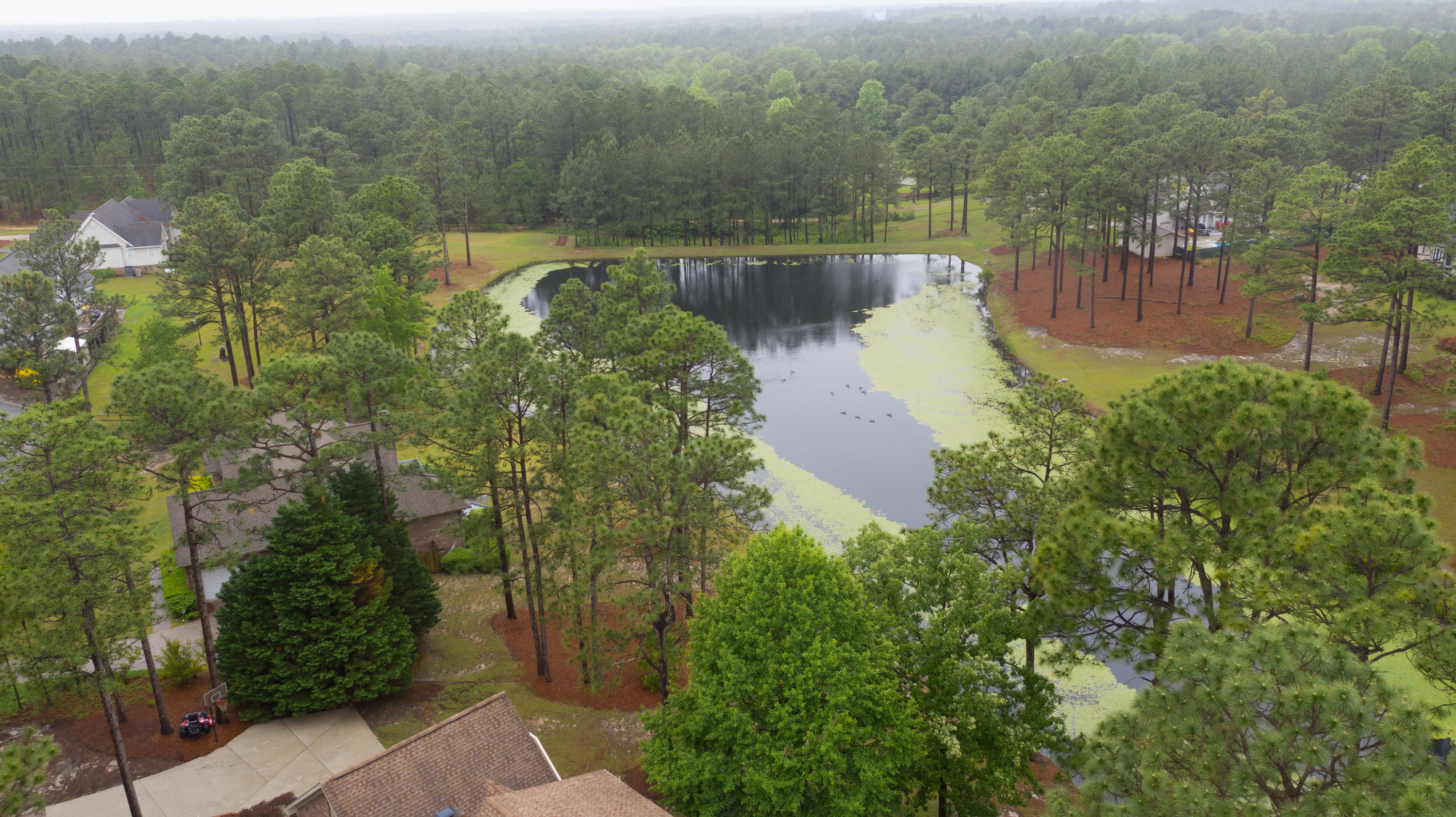 112 Shady Wood Drive Rockingham, NC 28379 - Photo 54 of 58 S3-14