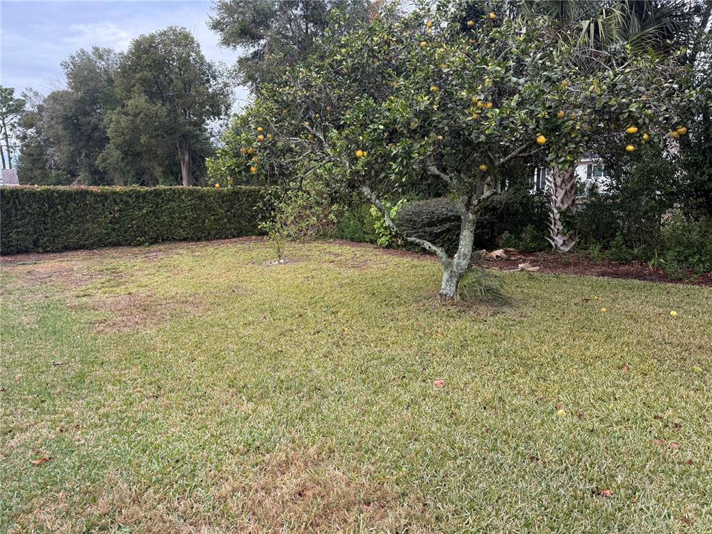 8433 Southwest 108th Pl Road Ocala, FL 34481 - Photo 9 of 9 Gallery Image 9