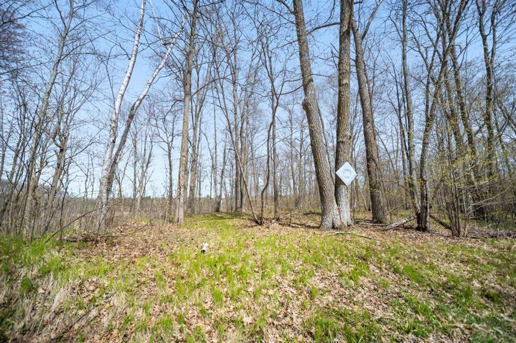 9382 County Road 8 Brainerd, MN 56401 - Photo 82 of 108