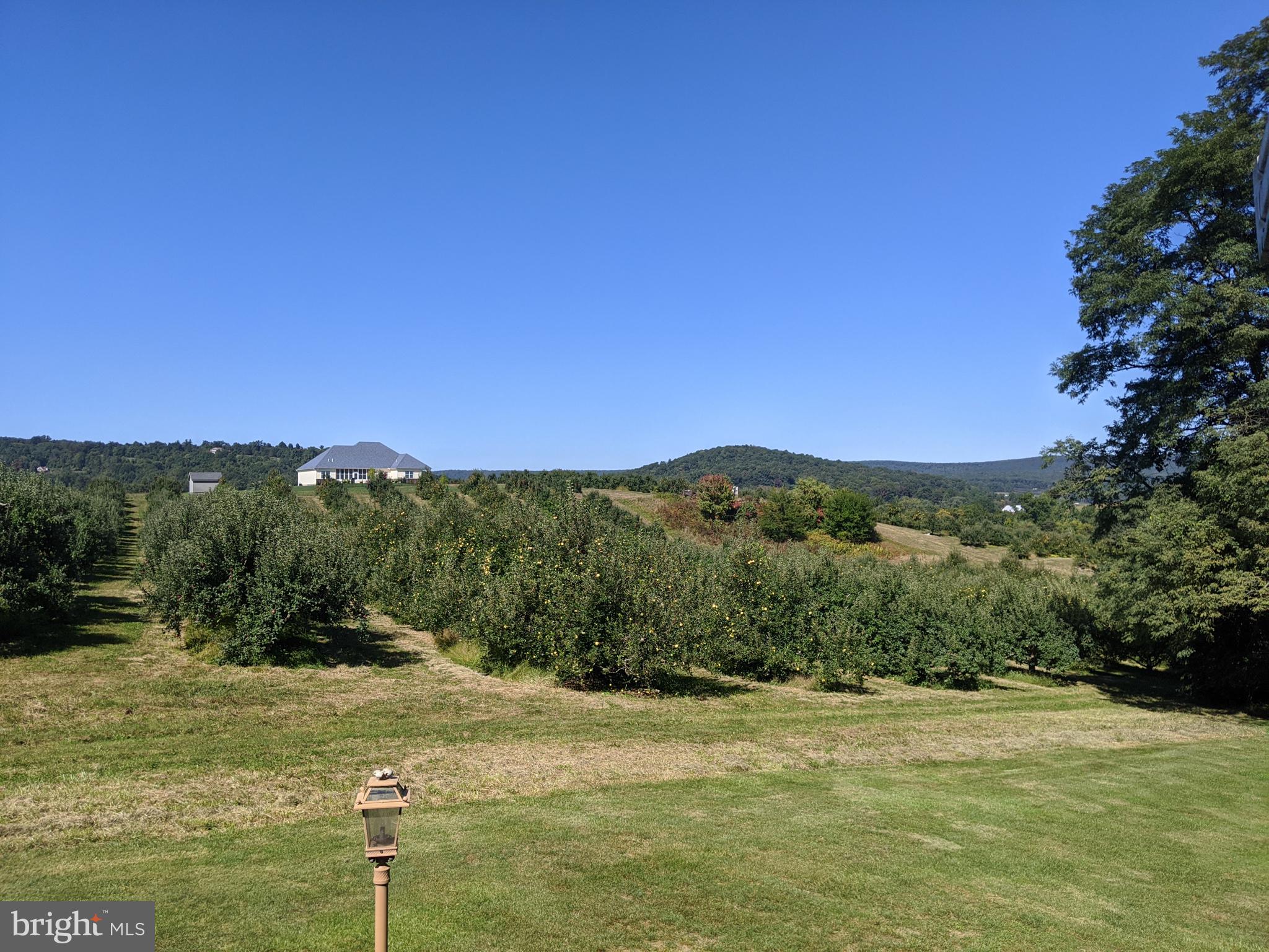 170 Rampike Hill Road Aspers, PA 17304 - Photo 27 of 56 Take in the view from the back deck!