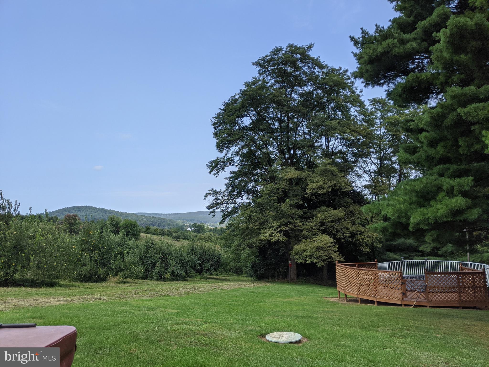 170 Rampike Hill Road Aspers, PA 17304 - Photo 29 of 56 View from Hot Tub