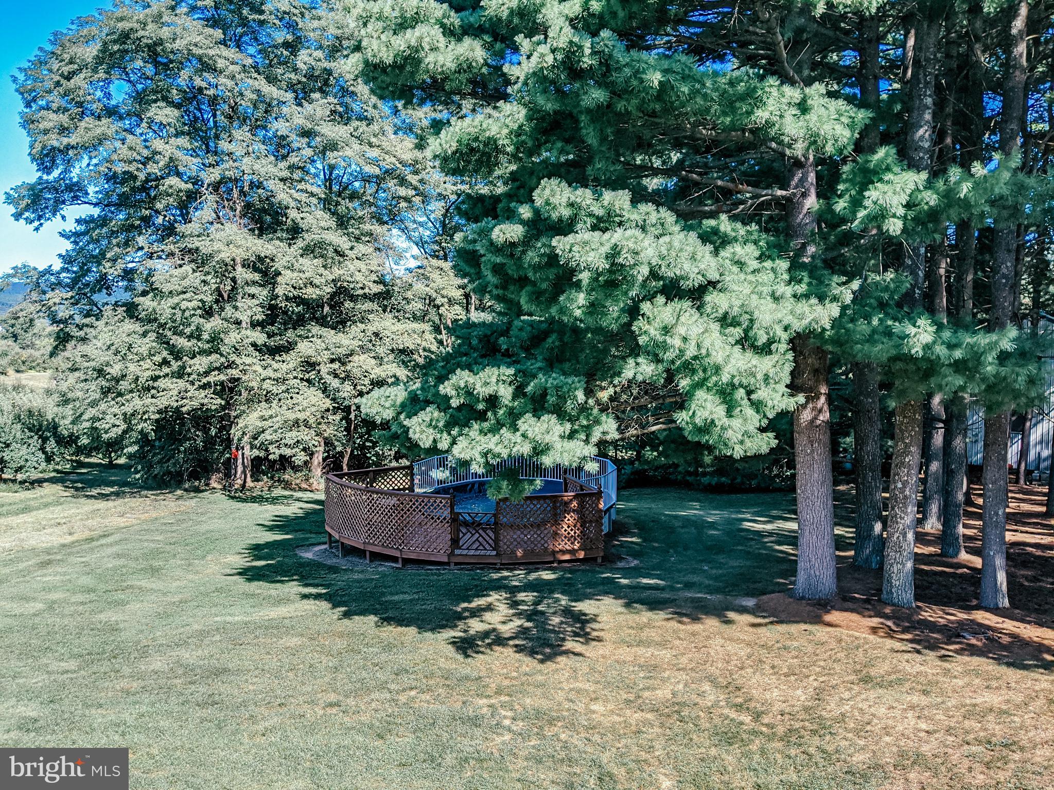 170 Rampike Hill Road Aspers, PA 17304 - Photo 30 of 56 Pool