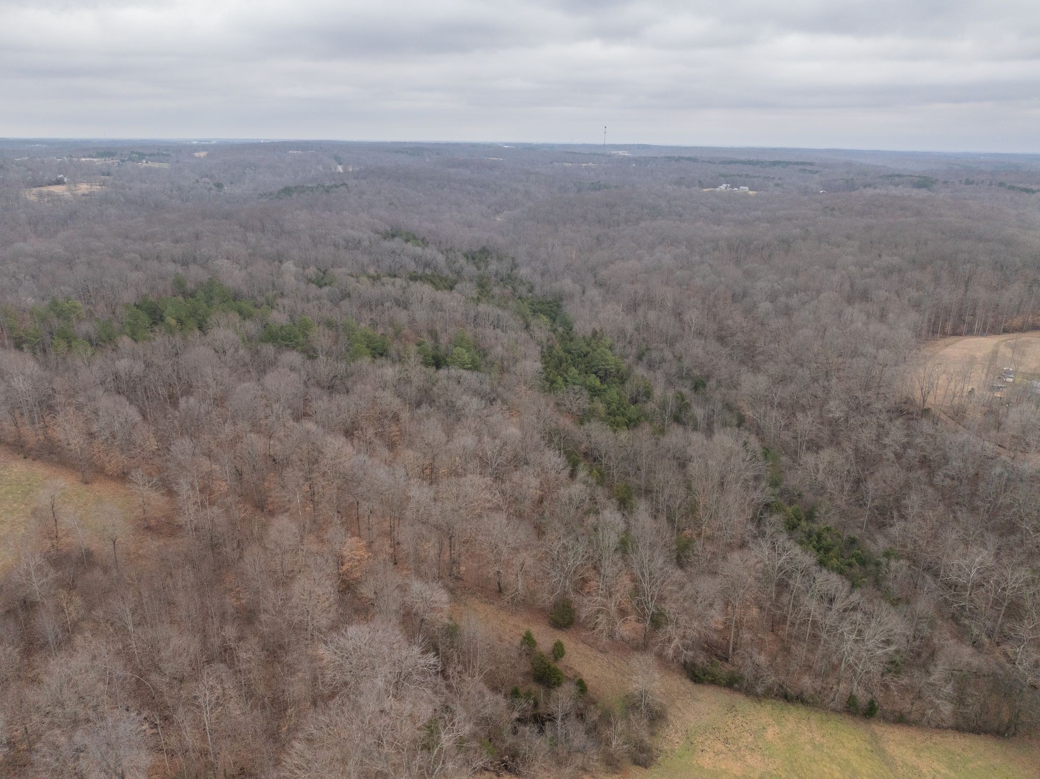 0 Wiley Branch Road Dickson, TN 37055 - Photo 13 of 27