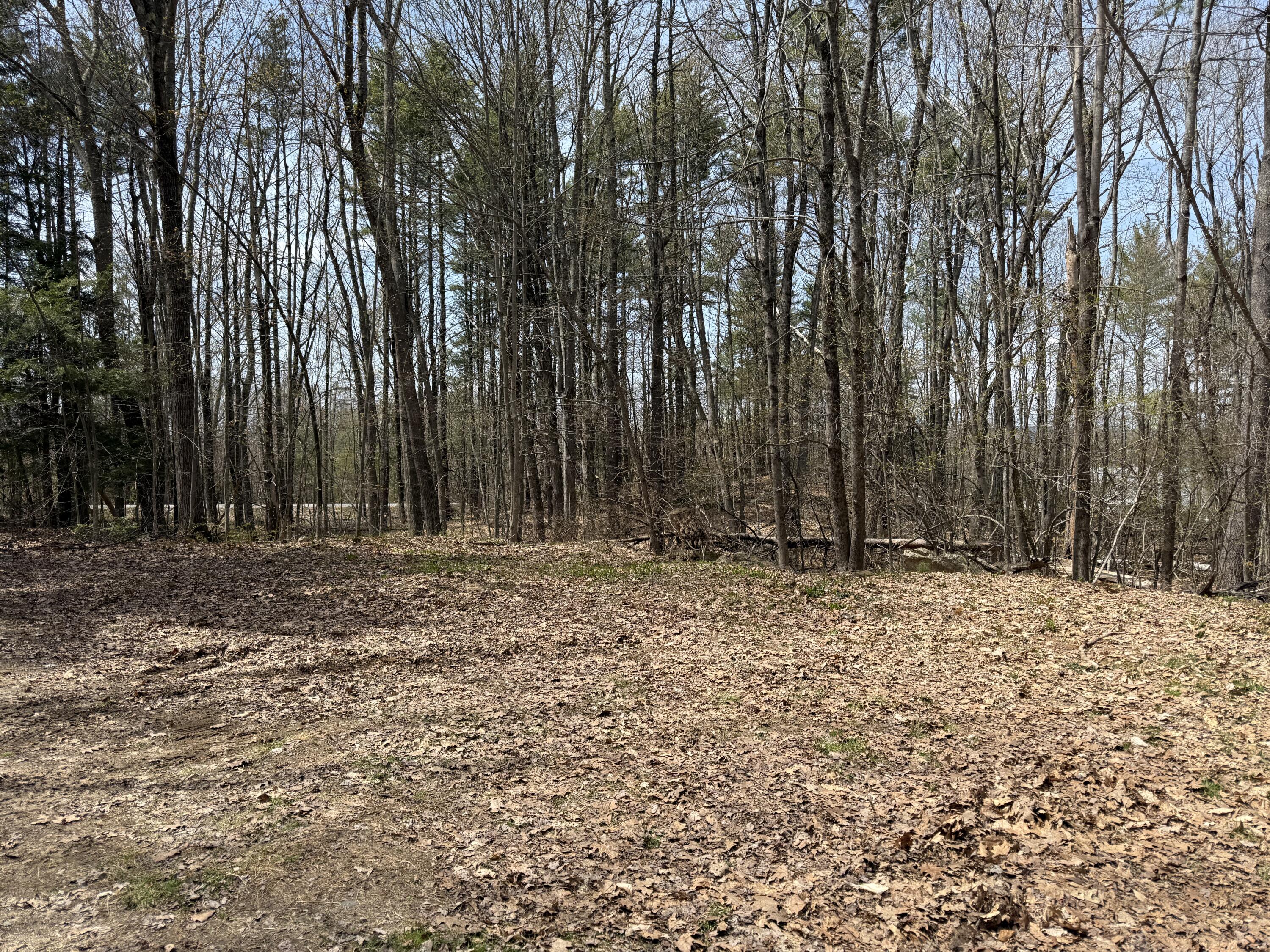 162 Deering Ridge Road Shapleigh, ME 04076 - Photo 13 of 35 IMG_2150
