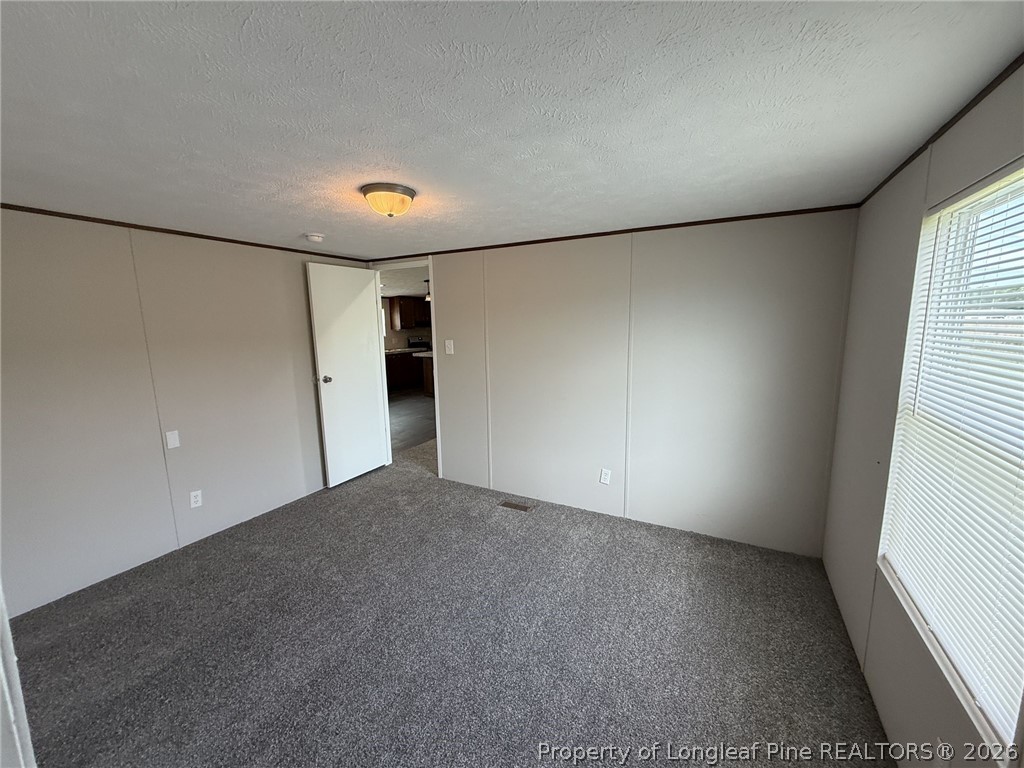 128 Kinsey Road Benson, NC 27504 - Photo 4 of 14